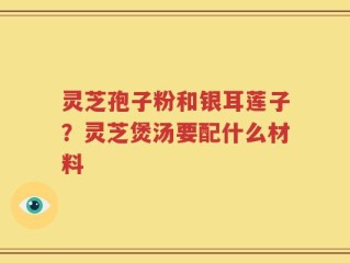 灵芝孢子粉和银耳莲子？灵芝煲汤要配什么材料