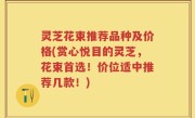 灵芝花束推荐品种及价格(赏心悦目的灵芝，花束首选！价位适中推荐几款！)