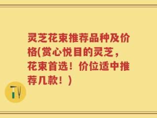 灵芝花束推荐品种及价格(赏心悦目的灵芝，花束首选！价位适中推荐几款！)