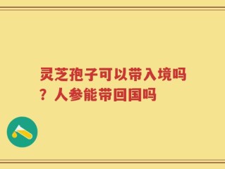 灵芝孢子可以带入境吗？人参能带回国吗