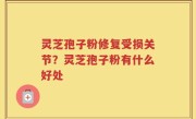 灵芝孢子粉修复受损关节？灵芝孢子粉有什么好处