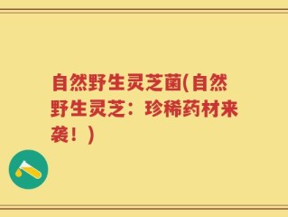 自然野生灵芝菌(自然野生灵芝：珍稀药材来袭！)