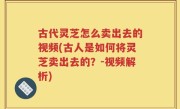 古代灵芝怎么卖出去的视频(古人是如何将灵芝卖出去的？-视频解析)