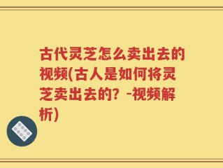 古代灵芝怎么卖出去的视频(古人是如何将灵芝卖出去的？-视频解析)