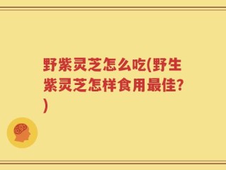 野紫灵芝怎么吃(野生紫灵芝怎样食用最佳？)