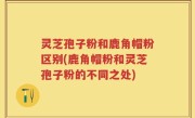 灵芝孢子粉和鹿角帽粉区别(鹿角帽粉和灵芝孢子粉的不同之处)