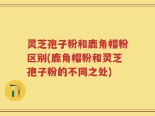 灵芝孢子粉和鹿角帽粉区别(鹿角帽粉和灵芝孢子粉的不同之处)