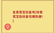 名贵灵芝抖音号(珍贵灵芝在抖音引爆热潮！)
