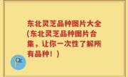 东北灵芝品种图片大全(东北灵芝品种图片合集，让你一次性了解所有品种！)