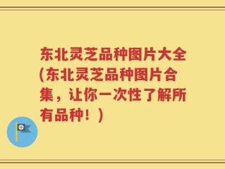 东北灵芝品种图片大全(东北灵芝品种图片合集，让你一次性了解所有品种！)