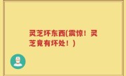 灵芝坏东西(震惊！灵芝竟有坏处！)