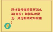 药材宣传海报灵芝怎么写(海报：如何认识灵芝、灵芝的功效与应用)