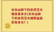 长白山脚下的赤灵芝大棚高是多少(长白山脚下的赤灵芝大棚覆盖面积有多大？)