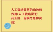 人工栽培灵芝的功效和作用(人工栽培灵芝：药王肝、百病之患神灵菇)