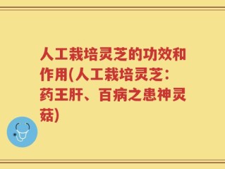 人工栽培灵芝的功效和作用(人工栽培灵芝：药王肝、百病之患神灵菇)