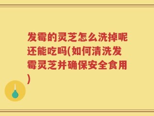 发霉的灵芝怎么洗掉呢还能吃吗(如何清洗发霉灵芝并确保安全食用)