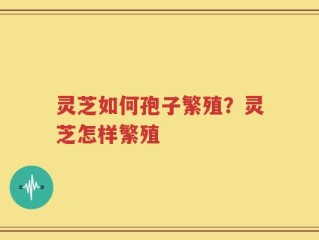 灵芝如何孢子繁殖？灵芝怎样繁殖
