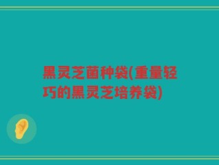 黑灵芝菌种袋(重量轻巧的黑灵芝培养袋)