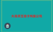 大晟灵芝孢子所属公司