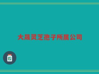 大晟灵芝孢子所属公司