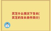 灵芝什么情况下生长(灵芝的生长条件简介)