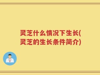 灵芝什么情况下生长(灵芝的生长条件简介)