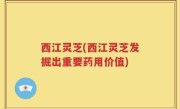 西江灵芝(西江灵芝发掘出重要药用价值)