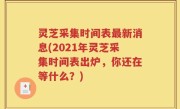 灵芝采集时间表最新消息(2021年灵芝采集时间表出炉，你还在等什么？)