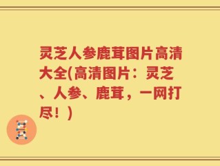 灵芝人参鹿茸图片高清大全(高清图片：灵芝、人参、鹿茸，一网打尽！)