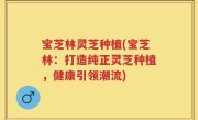 宝芝林灵芝种植(宝芝林：打造纯正灵芝种植，健康引领潮流)