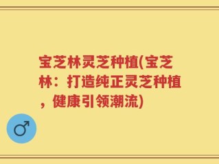 宝芝林灵芝种植(宝芝林：打造纯正灵芝种植，健康引领潮流)