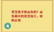 灵芝孢子粉山东的？山东最大的灵芝加工，收购公司