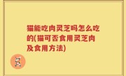 猫能吃肉灵芝吗怎么吃的(猫可否食用灵芝肉及食用方法)