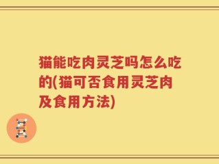猫能吃肉灵芝吗怎么吃的(猫可否食用灵芝肉及食用方法)