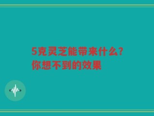 5克灵芝能带来什么？你想不到的效果