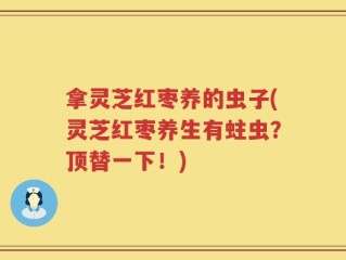 拿灵芝红枣养的虫子(灵芝红枣养生有蛀虫？顶替一下！)