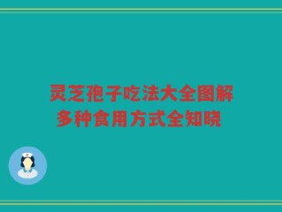 灵芝孢子吃法大全图解 多种食用方式全知晓