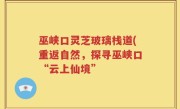 巫峡口灵芝玻璃栈道(重返自然，探寻巫峡口“云上仙境”