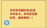 贝母灵芝藏红花(珍贵中药合力，贝母灵芝藏红花，强身健体！)