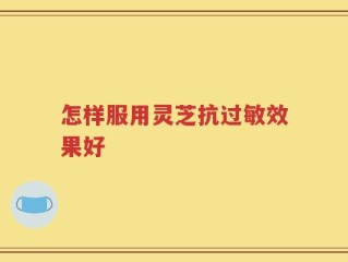 怎样服用灵芝抗过敏效果好