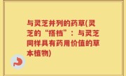 与灵芝并列的药草(灵芝的“搭档”：与灵芝同样具有药用价值的草本植物)