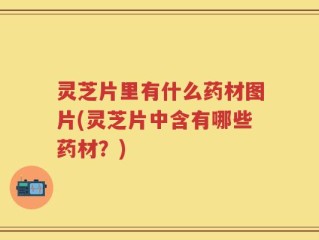 灵芝片里有什么药材图片(灵芝片中含有哪些药材？)