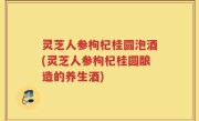 灵芝人参枸杞桂圆泡酒(灵芝人参枸杞桂圆酿造的养生酒)