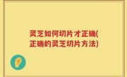 灵芝如何切片才正确(正确的灵芝切片方法)
