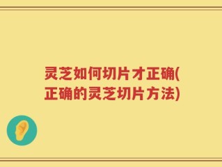 灵芝如何切片才正确(正确的灵芝切片方法)