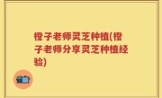 橙子老师灵芝种植(橙子老师分享灵芝种植经验)