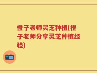 橙子老师灵芝种植(橙子老师分享灵芝种植经验)