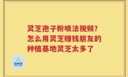 灵芝孢子粉喷法视频？怎么用灵芝赚钱朋友的种植基地灵芝太多了