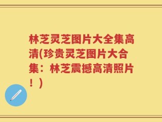 林芝灵芝图片大全集高清(珍贵灵芝图片大合集：林芝震撼高清照片！)