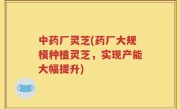 中药厂灵芝(药厂大规模种植灵芝，实现产能大幅提升)